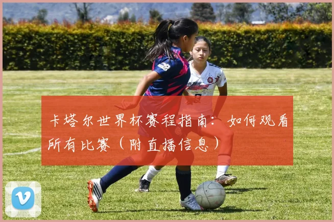 卡塔尔世界杯赛程指南：如何观看所有比赛（附直播信息）