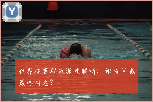 世界杯赛程表深度解析：谁将问鼎最终排名？